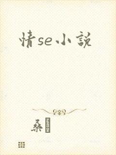 情se小说