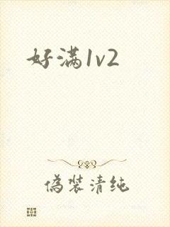 好满1v2