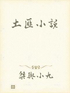 土匪小说