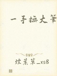 一手抚大笔趣阁