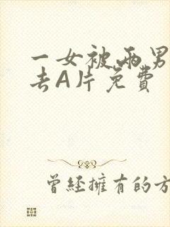 一女被两男桶进去A片免费