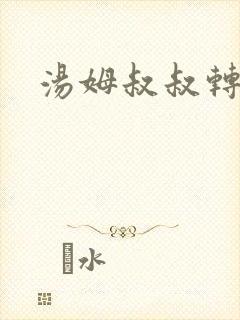 汤姆叔叔转接口