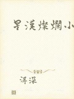 星汉灿烂小说
