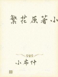 繁花原著小说