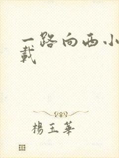 一路向西小说下载