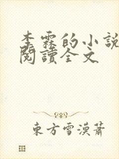 李霖的小说免费阅读全文