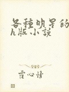 各种明星的综艺h版小说