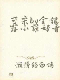 可宋by金银花露小说好看吗
