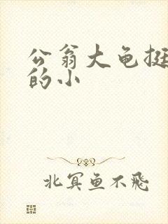 公翁大龟挺进我的小