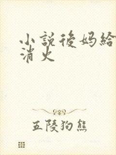 小说后妈给我消消火