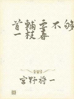 首辅要不够po一枝春