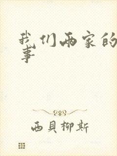 我们两家的荒唐事