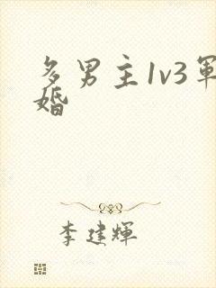 多男主1v3军婚