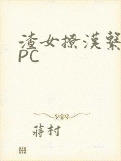 渣女撩汉系统NPC