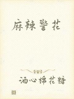 麻辣警花