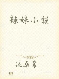 辣妹小说