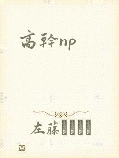 高干np