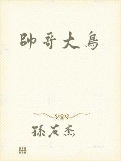 帅哥大鸟