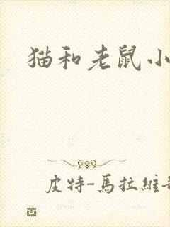 猫和老鼠小说