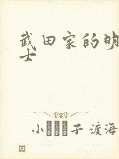 武田家的明国武士