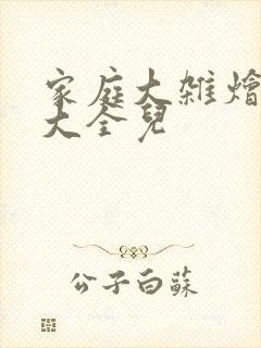 家庭大杂烩小说大全儿