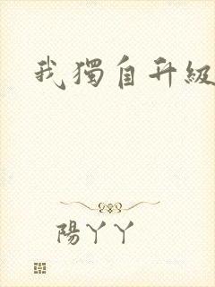 我独自升级小说