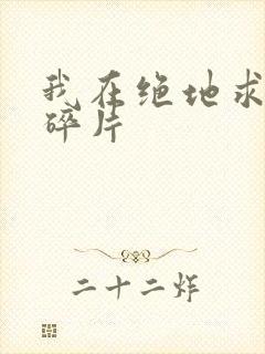 我在绝地求生捡碎片