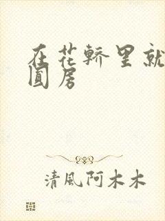 在花轿里就开始圆房