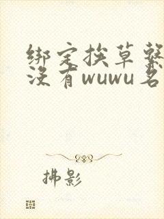 绑定挨草系统后没有wuwu名字