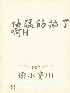 他猛的插了进去啊H