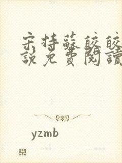 宋持苏皎皎的小说免费阅读