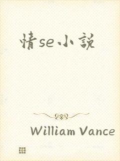 情se小说
