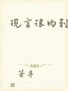 现言很肉到处做