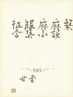 征服麻麻系列大合集小说