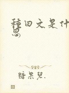 种田文是什么意思