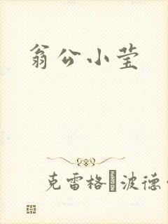 翁公小莹