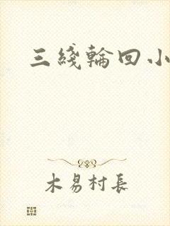 三线轮回小说