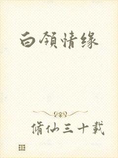 白领情缘
