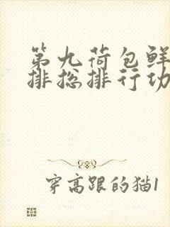 第九荷包鲜辣肉排总排行功能介绍