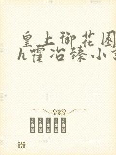 皇上御花园hlh霍冶臻小说