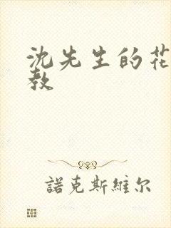 沈先生的花式管教