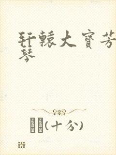 轩辕大宝芳菲雅琴