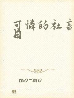 可怜的社畜东度日