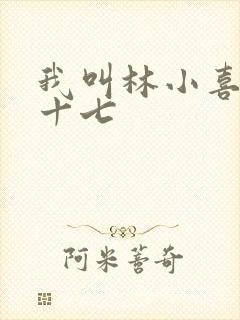 我叫林小喜今年十七