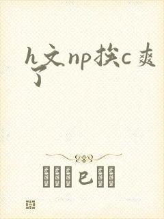 h文np挨c爽了
