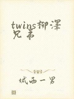 twins柳泽兄弟