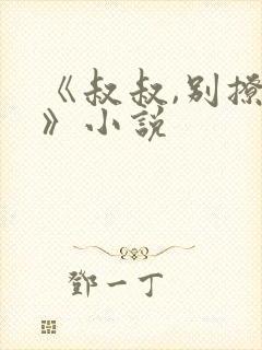 《叔叔,别撩我》小说