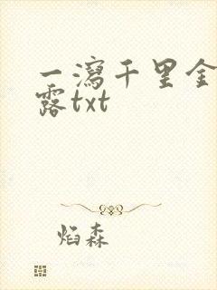 一泻千里金银花露txt