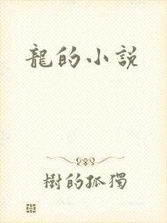 龙的小说