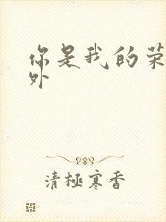 你是我的荣耀番外